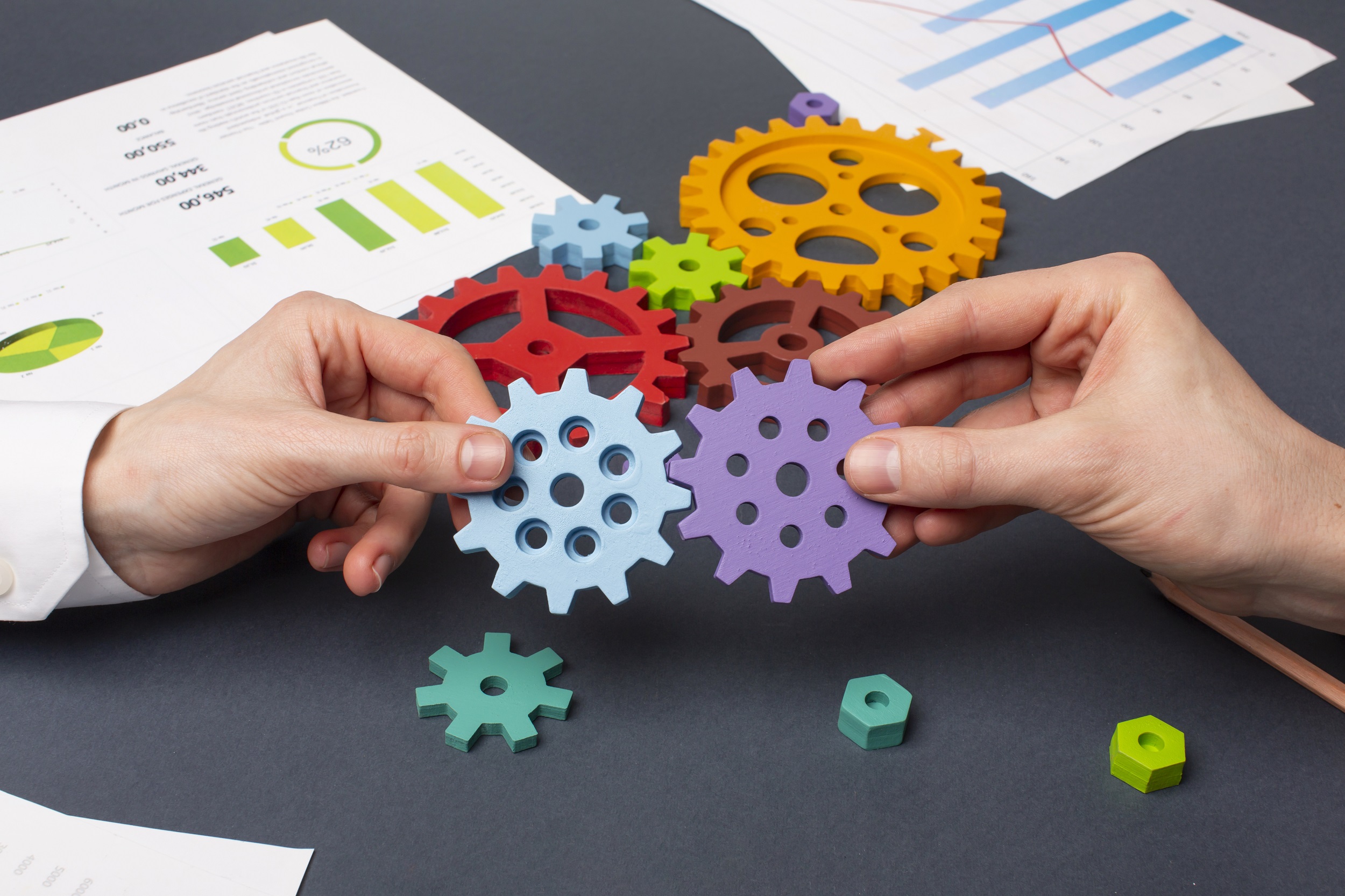 procesos project management