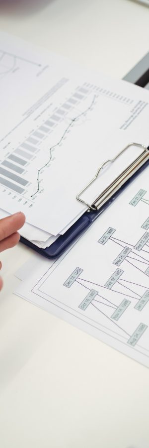 ms project quantica project management